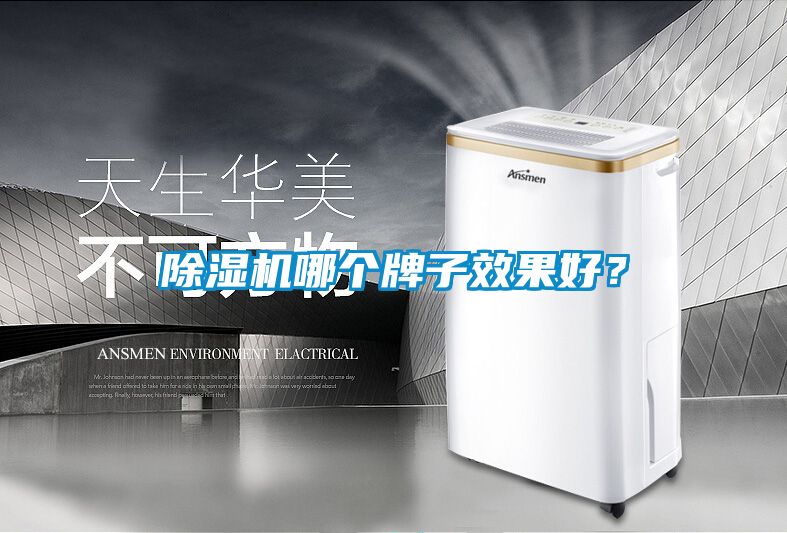 除濕機哪個(gè)牌子效果好？
