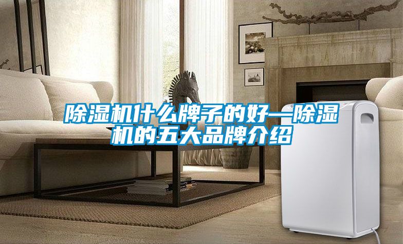 除濕機什么牌子的好—除濕機的五大品牌介紹
