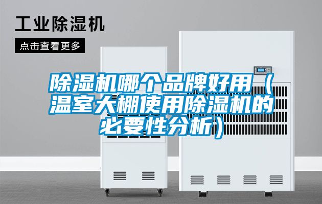 除濕機哪個(gè)品牌好用（溫室大棚使用除濕機的必要性分析）