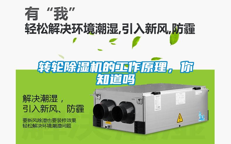 轉輪除濕機的工作原理，你知道嗎