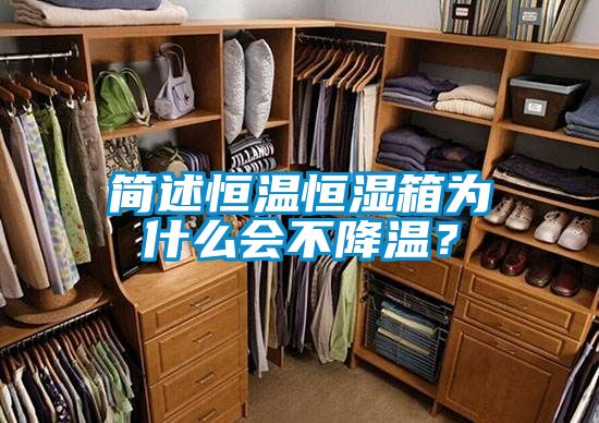 簡(jiǎn)述恒溫恒濕箱為什么會(huì )不降溫？