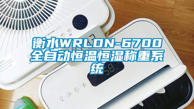 衡水WRLDN-6700全自動(dòng)恒溫恒濕稱(chēng)重系統