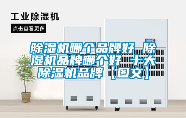 除濕機哪個(gè)品牌好 除濕機品牌哪個(gè)好 十大除濕機品牌【圖文】