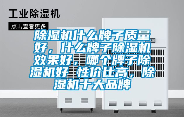 除濕機什么牌子質(zhì)量好，什么牌子除濕機效果好，哪個(gè)牌子除濕機好 性?xún)r(jià)比高，除濕機十大品牌