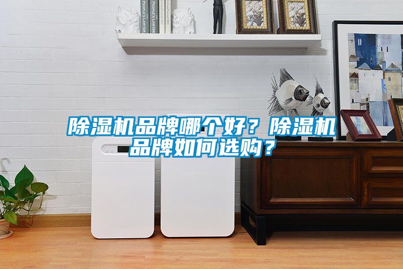 除濕機品牌哪個(gè)好？除濕機品牌如何選購？