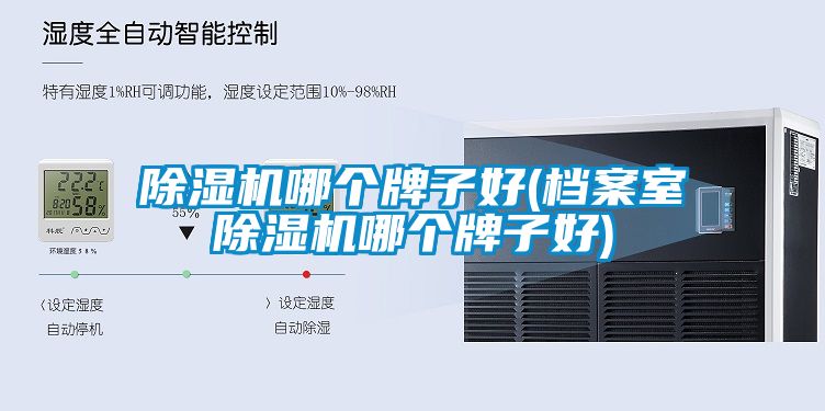 除濕機哪個(gè)牌子好(檔案室除濕機哪個(gè)牌子好)