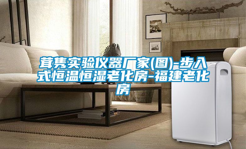 茸雋實(shí)驗儀器廠(chǎng)家(圖)-步入式恒溫恒濕老化房-福建老化房