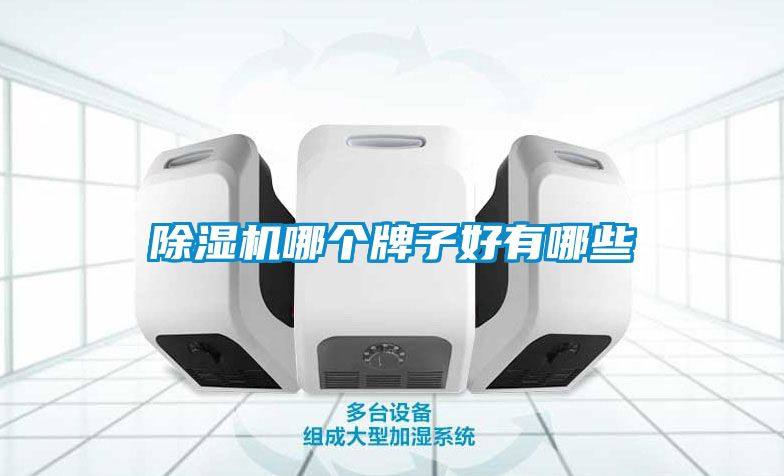 除濕機哪個(gè)牌子好有哪些
