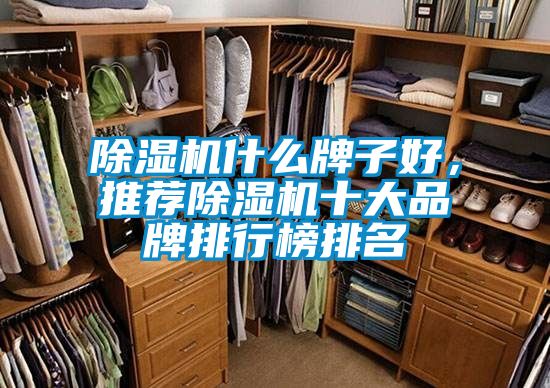 除濕機什么牌子好，推薦除濕機十大品牌排行榜排名