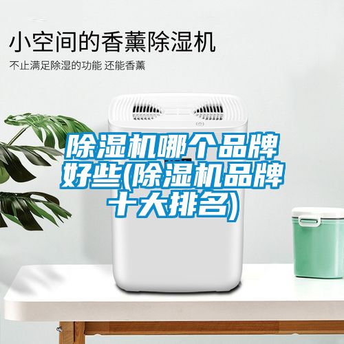 除濕機哪個(gè)品牌好些(除濕機品牌十大排名)