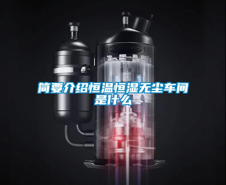 簡(jiǎn)要介紹恒溫恒濕無(wú)塵車(chē)間是什么