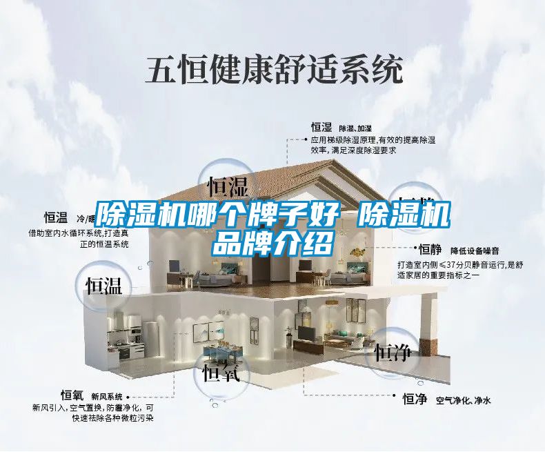 除濕機哪個(gè)牌子好 除濕機品牌介紹