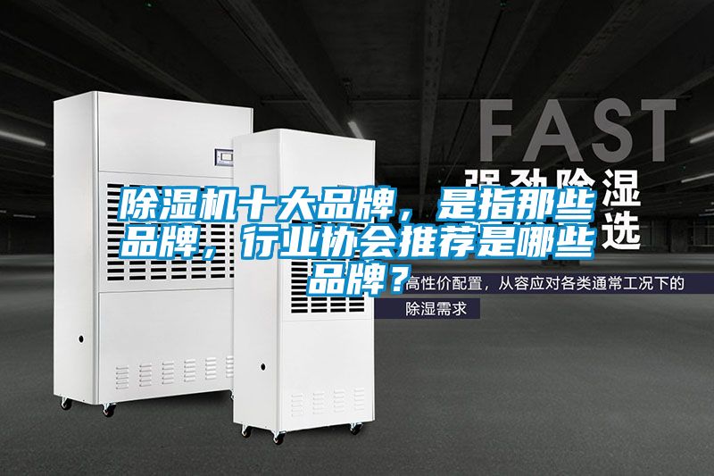 除濕機十大品牌，是指那些品牌，行業(yè)協(xié)會(huì )推薦是哪些品牌？