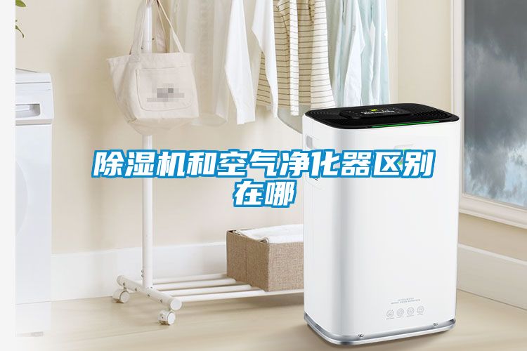 除濕機和空氣凈化器區別在哪