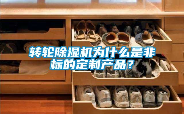 轉輪除濕機為什么是非標的定制產(chǎn)品？