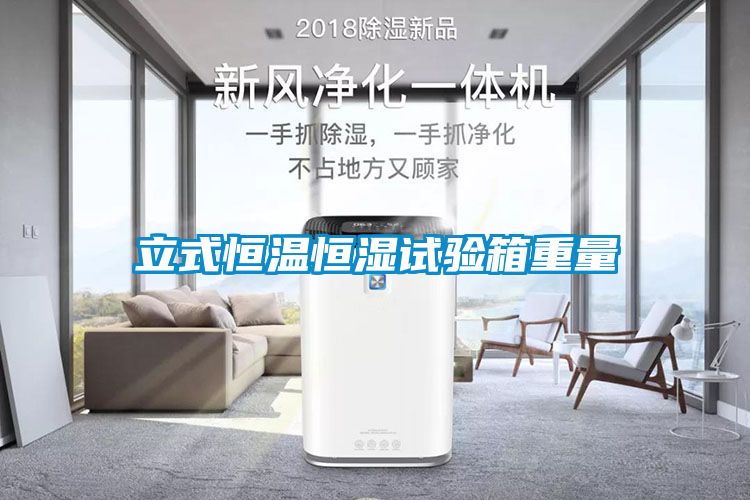立式恒溫恒濕試驗箱重量