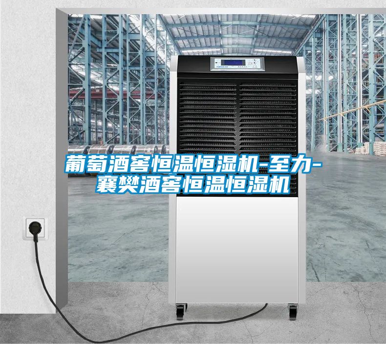 葡萄酒窖恒溫恒濕機-至力-襄樊酒窖恒溫恒濕機