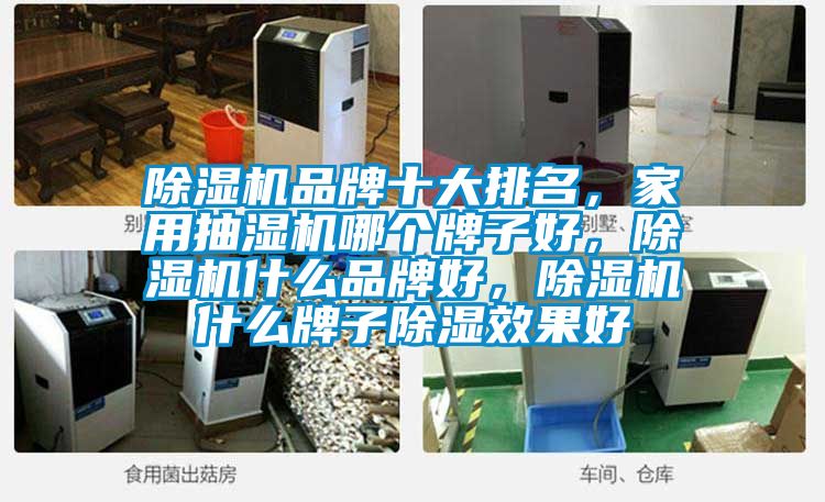 除濕機品牌十大排名，家用抽濕機哪個(gè)牌子好，除濕機什么品牌好，除濕機什么牌子除濕效果好