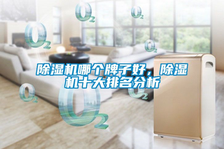 除濕機哪個(gè)牌子好，除濕機十大排名分析