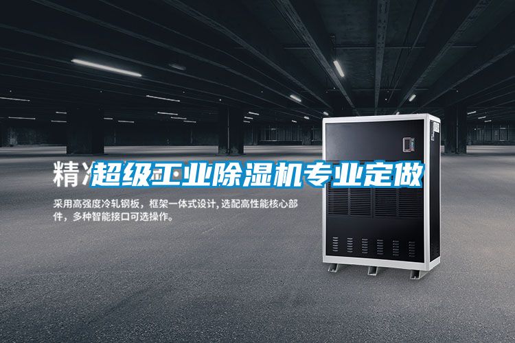 超級工業(yè)除濕機專(zhuān)業(yè)定做
