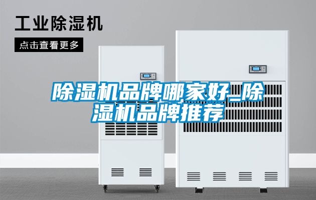 除濕機品牌哪家好_除濕機品牌推薦