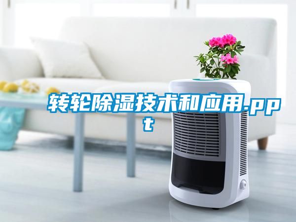 轉輪除濕技術(shù)和應用.ppt