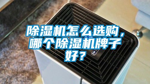 除濕機怎么選購，哪個(gè)除濕機牌子好？
