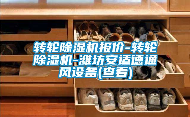 轉輪除濕機報價(jià)-轉輪除濕機-濰坊安適德通風(fēng)設備(查看)