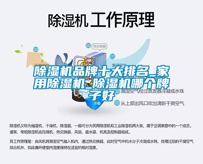 除濕機品牌十大排名_家用除濕機_除濕機哪個(gè)牌子好