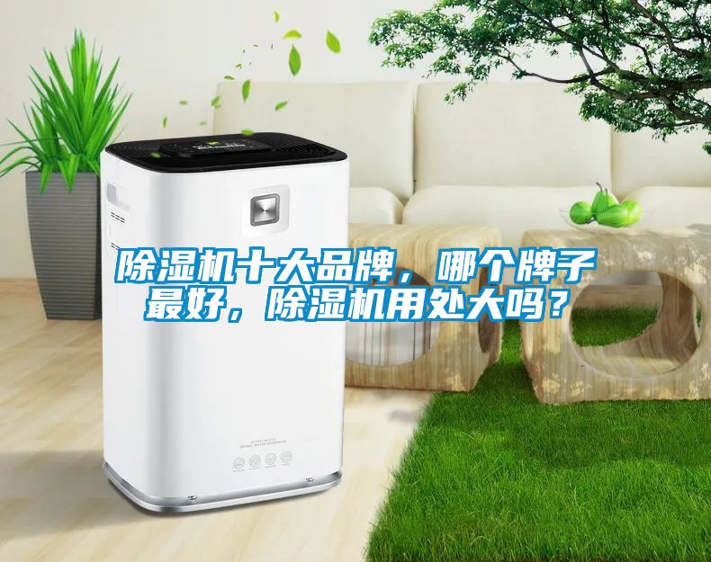 除濕機十大品牌，哪個(gè)牌子最好，除濕機用處大嗎？