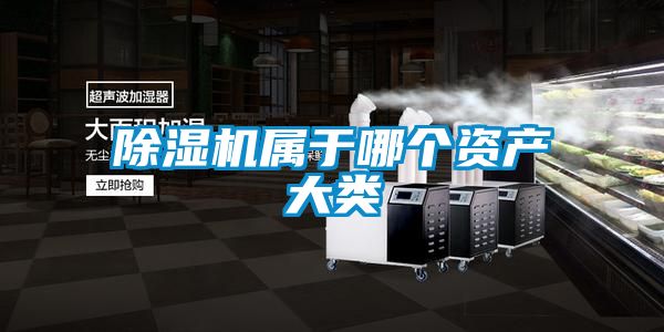 除濕機屬于哪個(gè)資產(chǎn)大類(lèi)