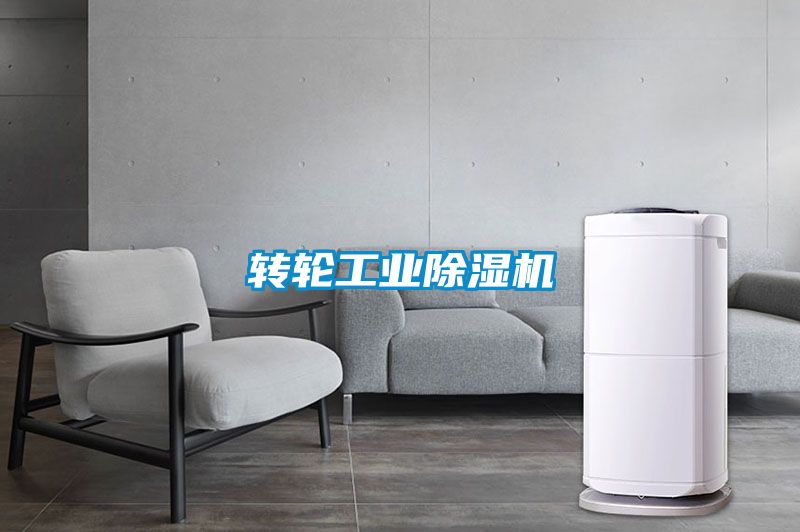 轉輪工業(yè)除濕機
