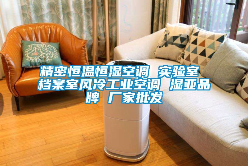 精密恒溫恒濕空調 實(shí)驗室 檔案室風(fēng)冷工業(yè)空調 濕亞品牌 廠(chǎng)家批發(fā)
