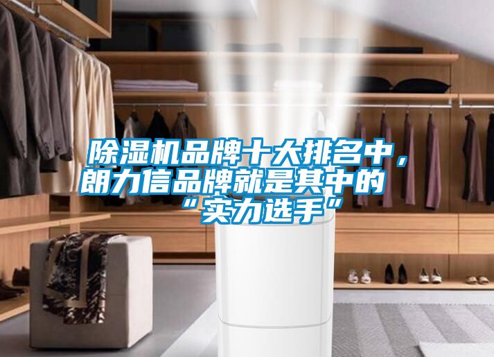 除濕機品牌十大排名中，朗力信品牌就是其中的“實(shí)力選手”