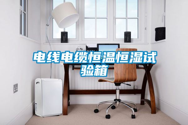 電線(xiàn)電纜恒溫恒濕試驗箱