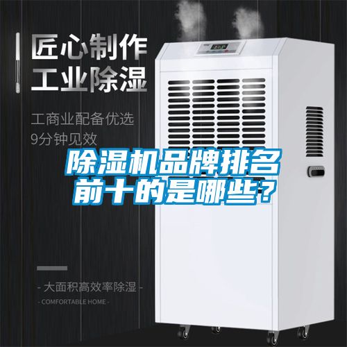 除濕機品牌排名前十的是哪些？