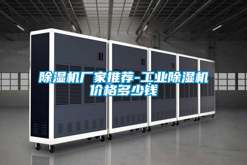 除濕機廠(chǎng)家推薦-工業(yè)除濕機價(jià)格多少錢(qián)