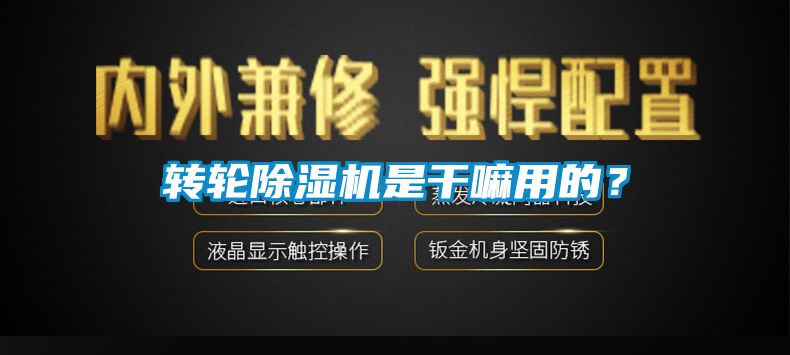 轉輪除濕機是干嘛用的？