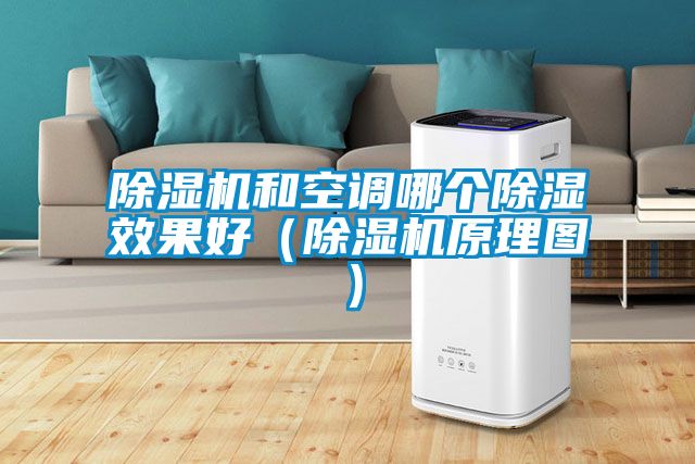 除濕機和空調哪個(gè)除濕效果好（除濕機原理圖）