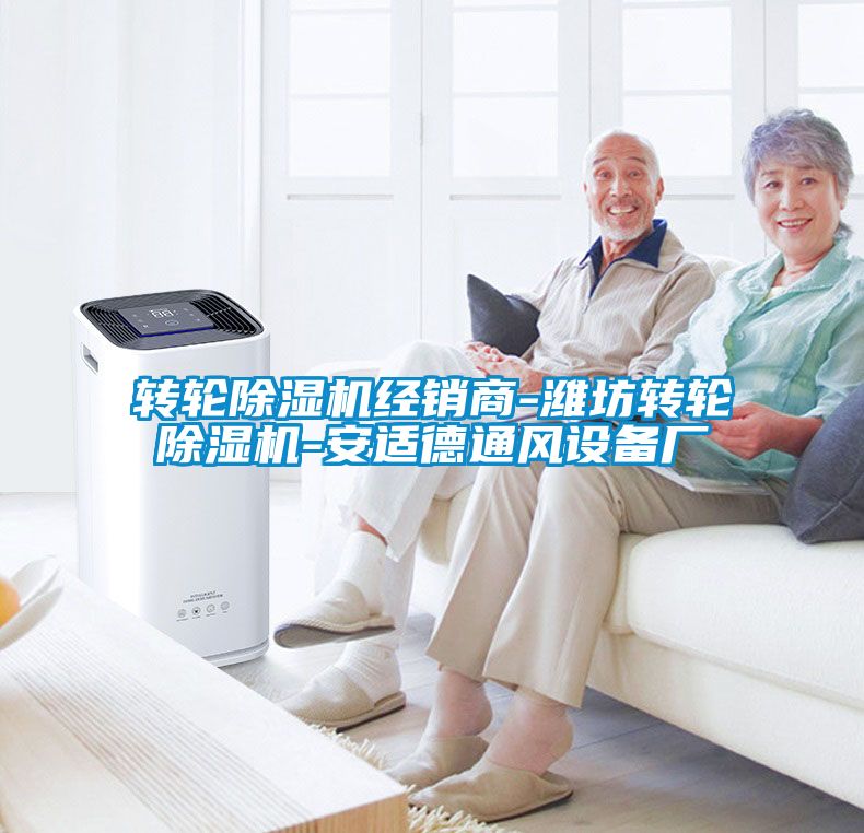 轉輪除濕機經(jīng)銷(xiāo)商-濰坊轉輪除濕機-安適德通風(fēng)設備廠(chǎng)