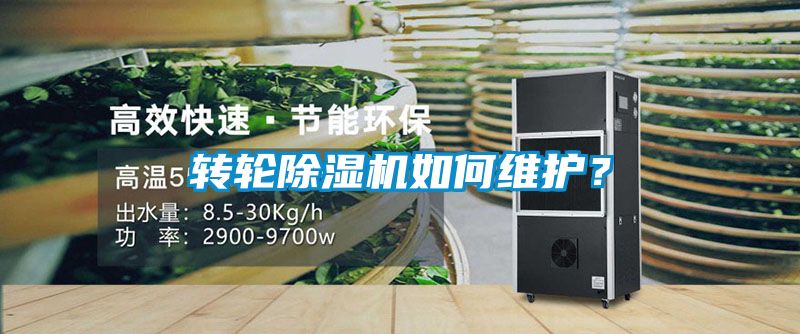 轉輪除濕機如何維護？