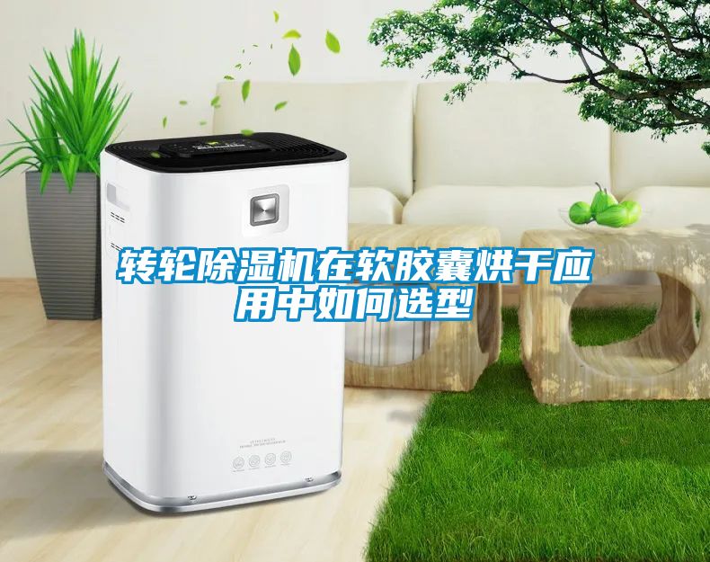 轉輪除濕機在軟膠囊烘干應用中如何選型