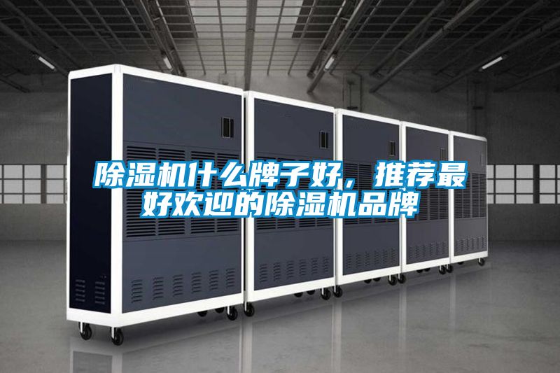 除濕機什么牌子好，推薦最好歡迎的除濕機品牌