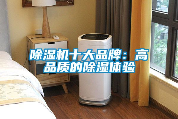 除濕機十大品牌：高品質(zhì)的除濕體驗