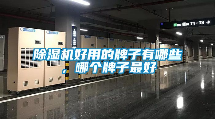 除濕機好用的牌子有哪些，哪個(gè)牌子最好