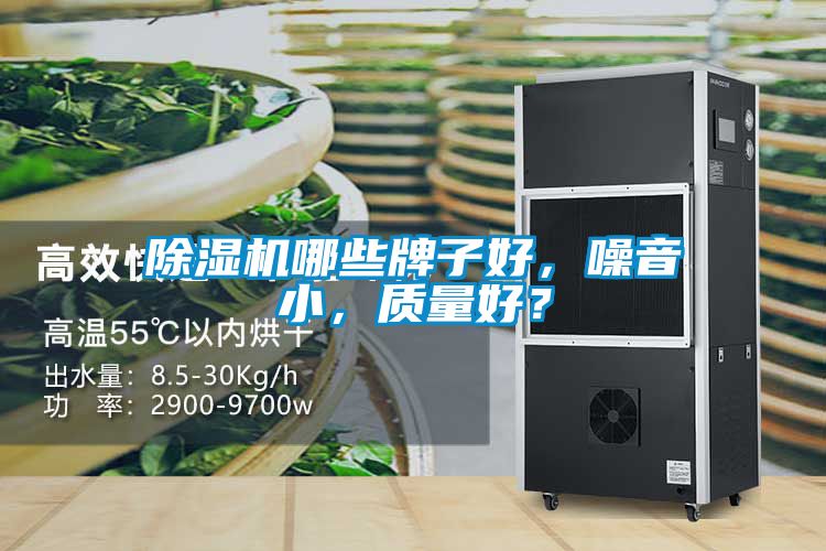 除濕機哪些牌子好，噪音小，質(zhì)量好？