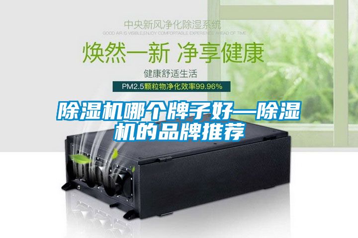 除濕機哪個(gè)牌子好—除濕機的品牌推薦