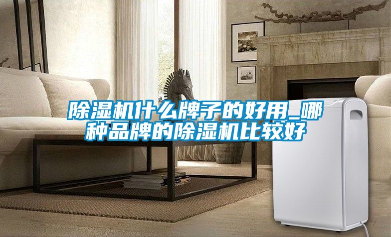 除濕機什么牌子的好用_哪種品牌的除濕機比較好