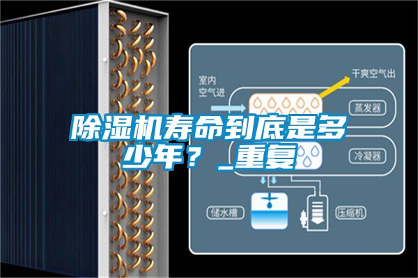 除濕機壽命到底是多少年？_重復