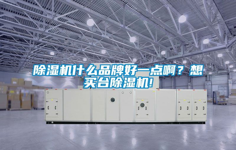 除濕機什么品牌好一點(diǎn)??？想買(mǎi)臺除濕機!